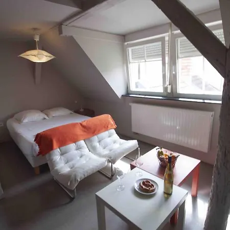 Daire La Cour De Berthe Est Colmar