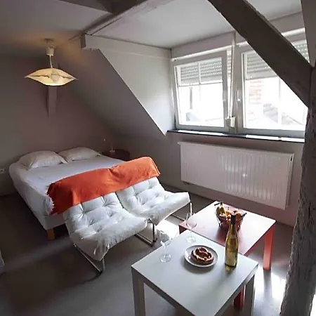 Daire La Cour De Berthe Est Colmar